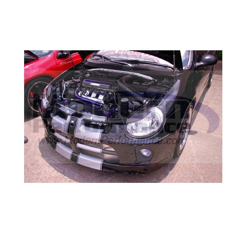 Carbon Fiber Shorty Eyelids, 03-05 Neon / SRT-4