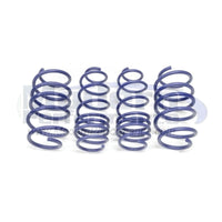 H&R Sport Springs, 2013-16 Dart