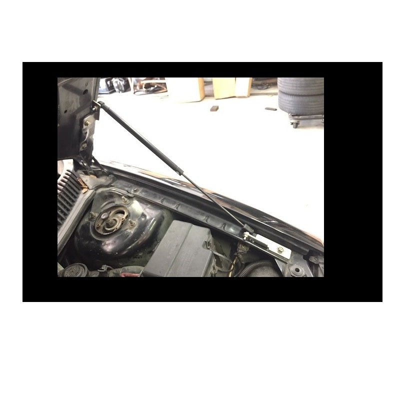 MPx Hood Lift Strut Kit, 00-05 Neon / 03-05 Neon SRT-4