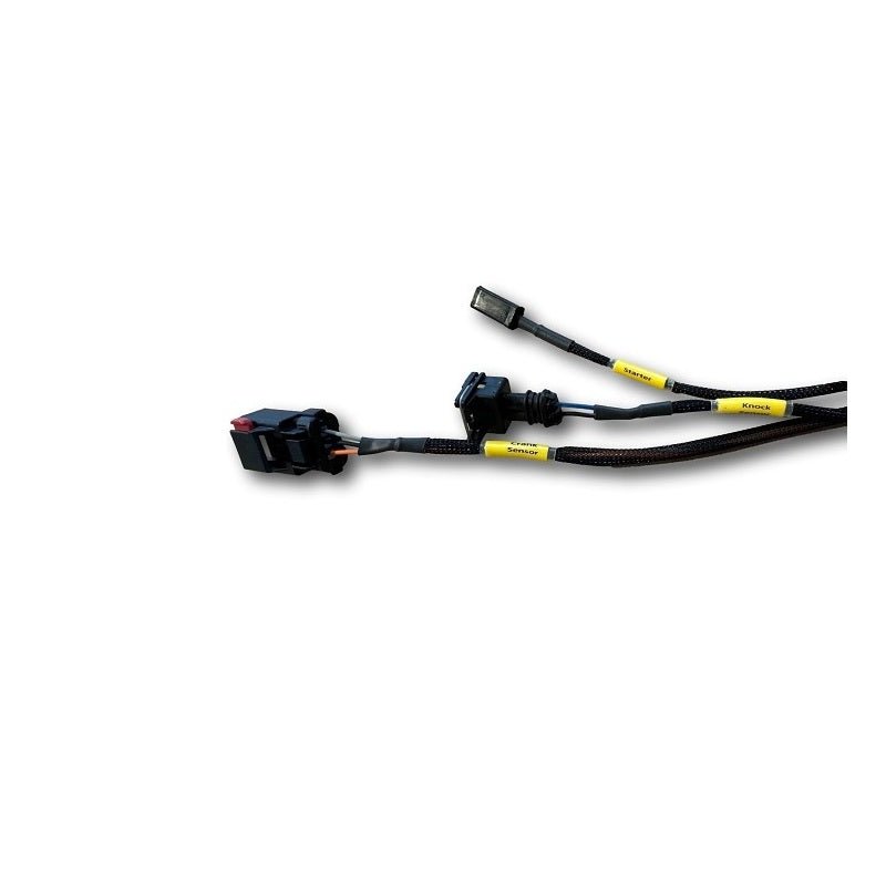 Wire Tuck Engine Harness, 03-05 Neon SRT-4