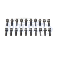 20 Piece Hex Drive Lug Bolt Set (Silver or Black), Dart/Renegade/Cherokee/500L/200