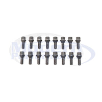 16 Piece Hex Drive Lug Bolt Set (Chrome or Black), 2012-18 Fiat 500