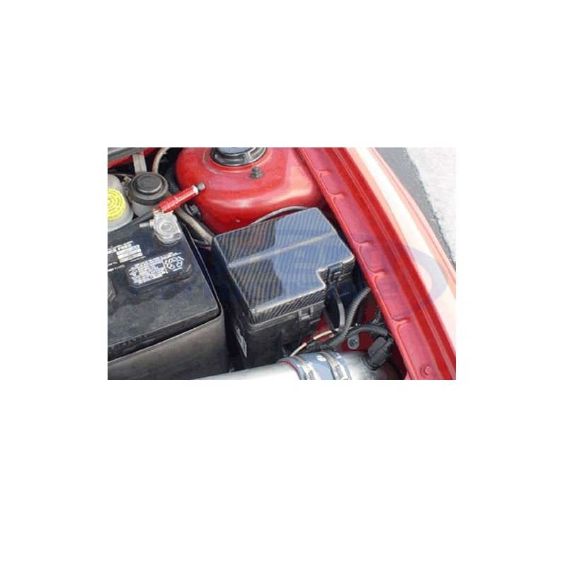 Carbon Fiber Fuse Box Cover, 00-05 Neon