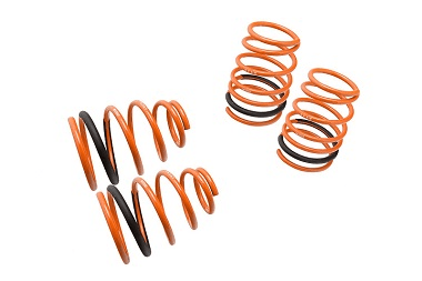 Megan Lowering Springs, 95-99 Neon