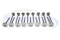 Oversized Stainless Steel Valve Set, 95-05 Neon SOHC 2.0L