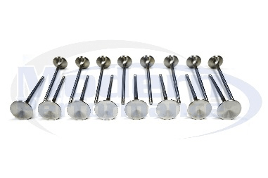 Oversized Stainless Steel Valve Set, 95-05 Neon SOHC 2.0L