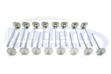 Indy Individual Stainless Steel Valves, 95-05 Neon SOHC