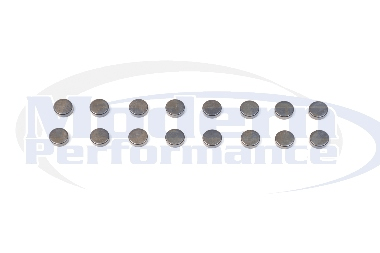 Ferrea Lash Caps, 95-05 Neon SOHC